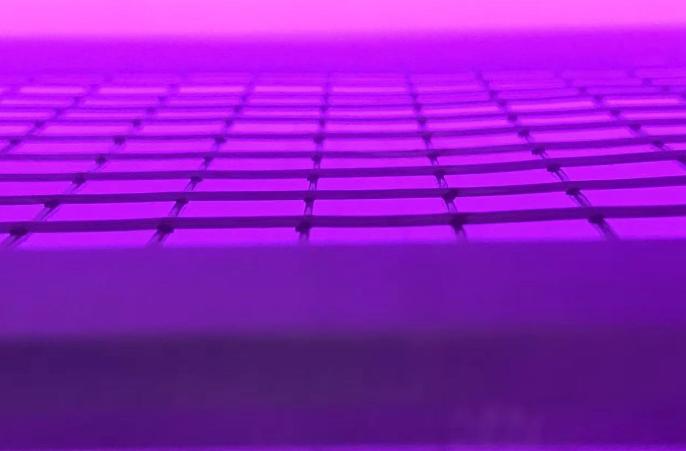 豆奶视频APP官网机