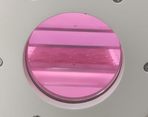 真空豆奶视频APP官网机