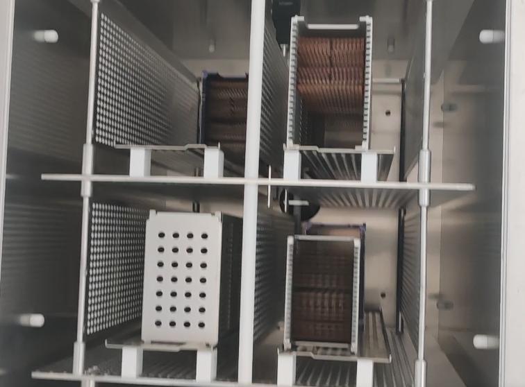 豆奶视频APP官网机