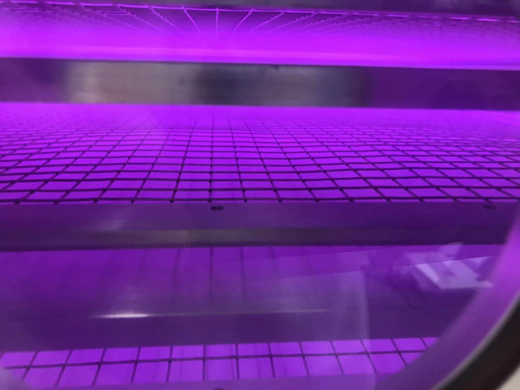 豆奶视频APP官网机