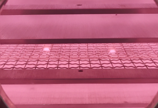 真空豆奶视频APP官网机