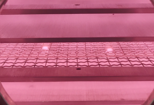 豆奶视频APP官网机