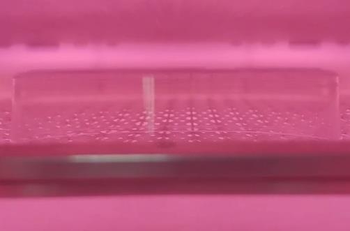 非标豆奶视频APP官网机