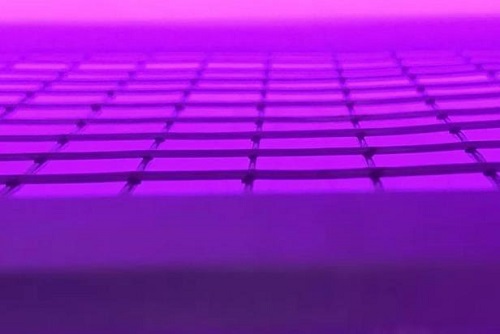 豆奶视频免费观看在线机