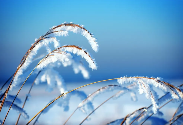 冬至悄然而至，这三招你知道吗？-豆奶视频在线观看豆奶视频APP官网机